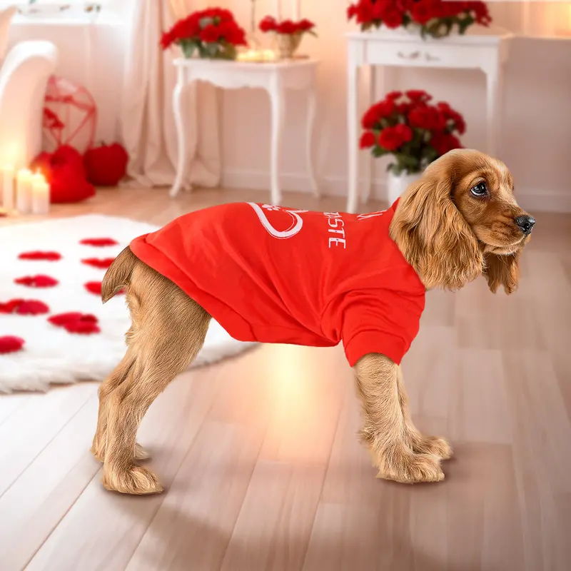 Playera Para Mascota Mi Corazón, Color Rojo 2