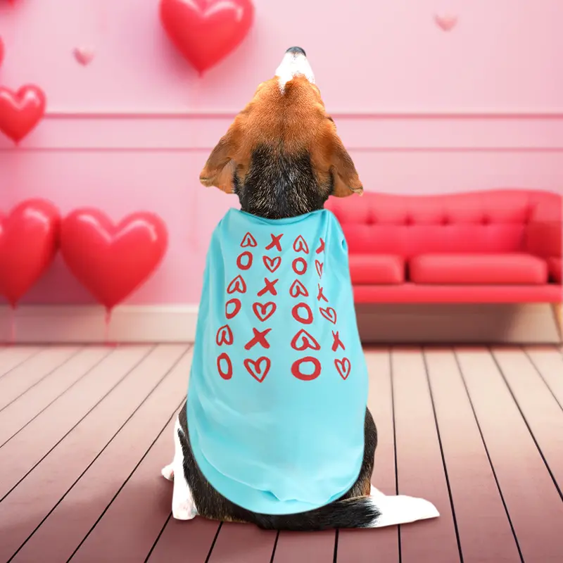 Playera Para Mascota Xoxo, Color Aqua 1