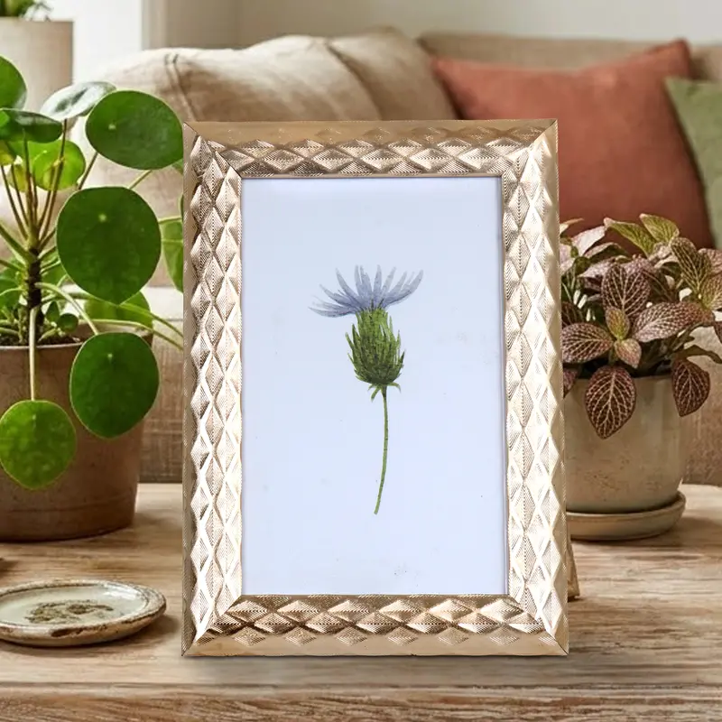 Portarretrato, Planta, Color Cobre 2
