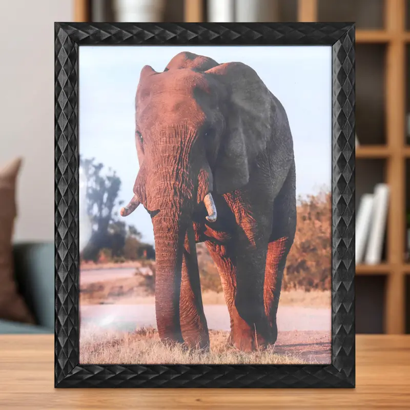 Portarretratos Elefante, Color Negro, 20X25cm 2