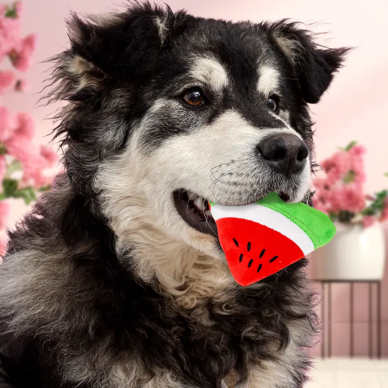 Rebanada De Sandia De Peluche 1