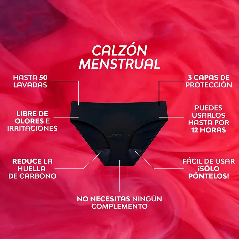 Ropa Interior Reutilizable Para Periodo, Saba, Talla G 2