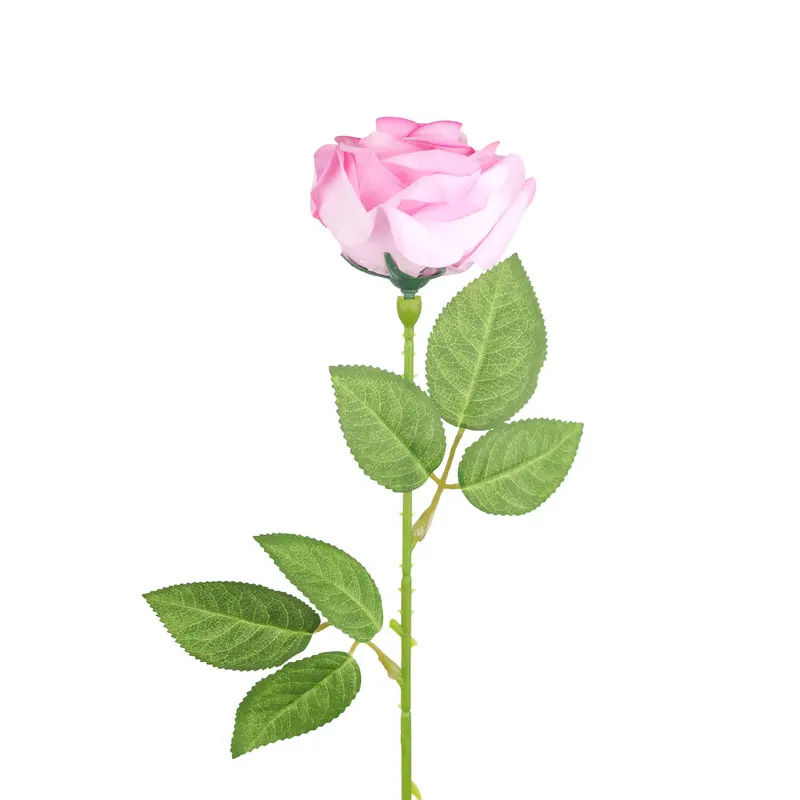Rosa Artificial, 50 Cm 2