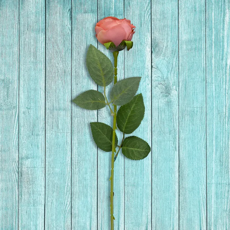 Rosa Artificial Color Rosa Coral 2