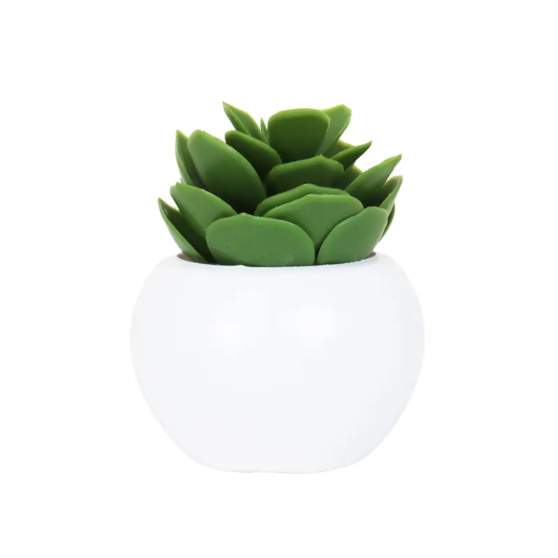 Suculenta Echeveria Artificial Con Maceta 2