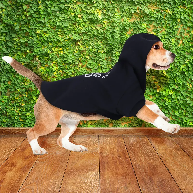 Sudadera Color Azul Marino Para Mascota 3