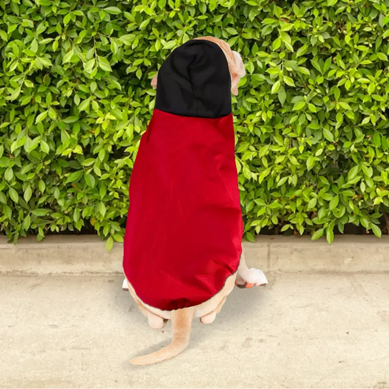 Sudadera Color Rojo Con Gorro Para Perro 1