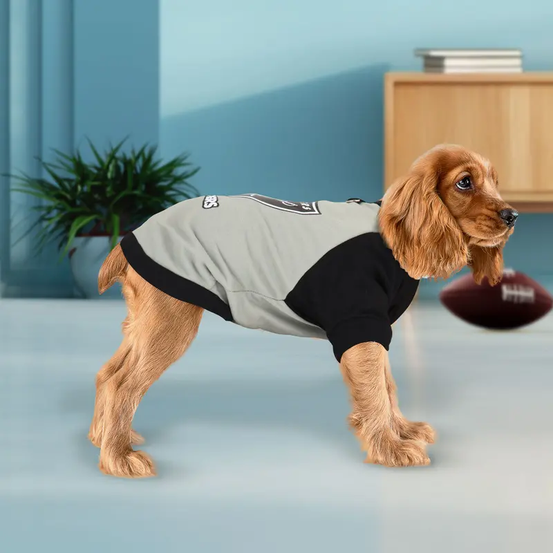 Sudadera De Los Raiders Para Perro 3