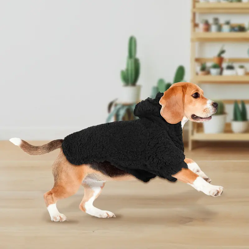 Sudadera Invernal Color Negro Para Mascota 1