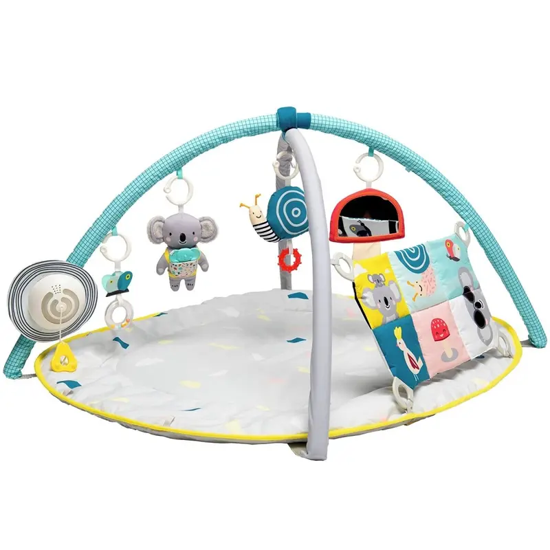 Taf Toys All Around Me Gym 1