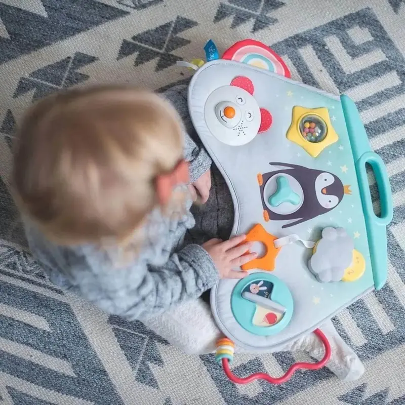 Taf Toys Laptoy Activity Center 2