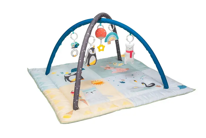 Taf Toys North Pole 4 Seasons Gym 2