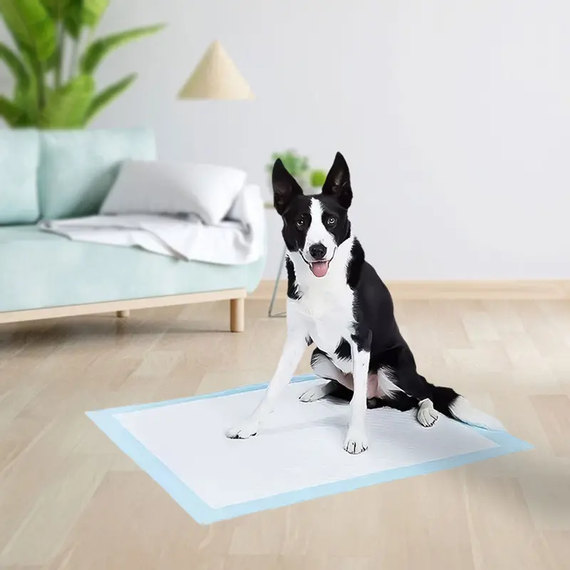 Tapete Entrenador Desechable Para Mascotas, Snoopy 1