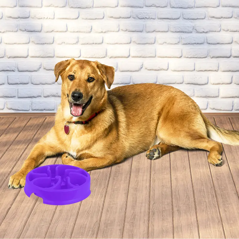 Tazón Para Perro De Alimentación Lenta Color Púrpura 1