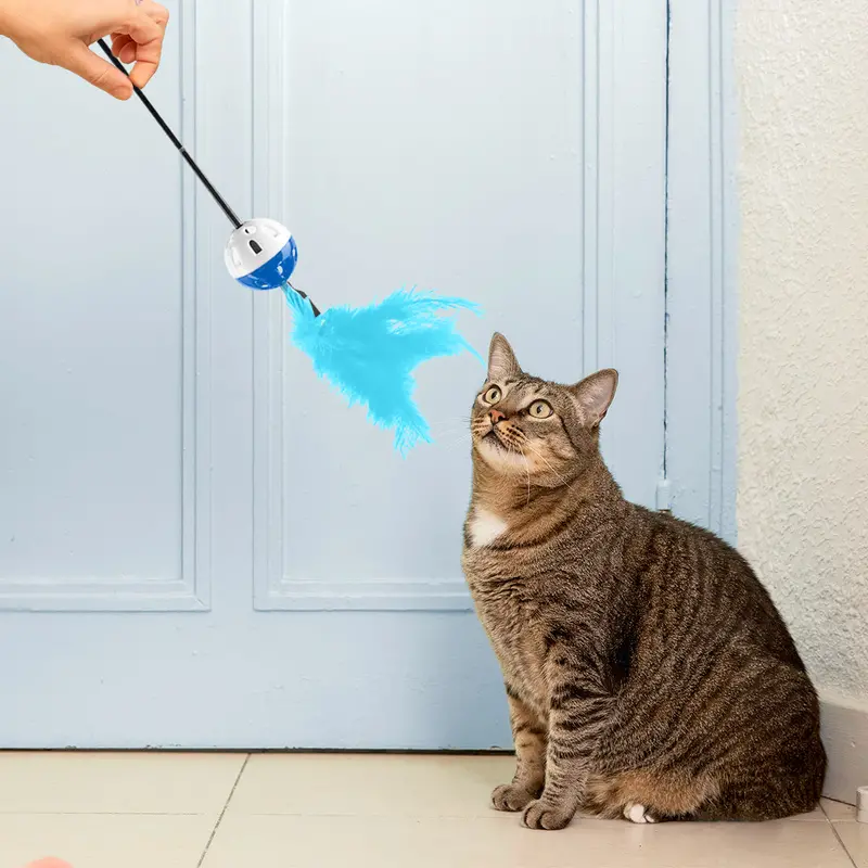 Varita Interactiva Color Azul Para Gato, Amazin Pets 1