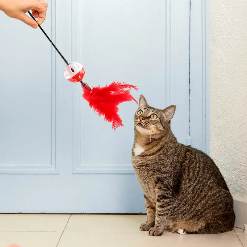 Varita Interactiva Color Rojo Para Gato, Amazin Pets 1