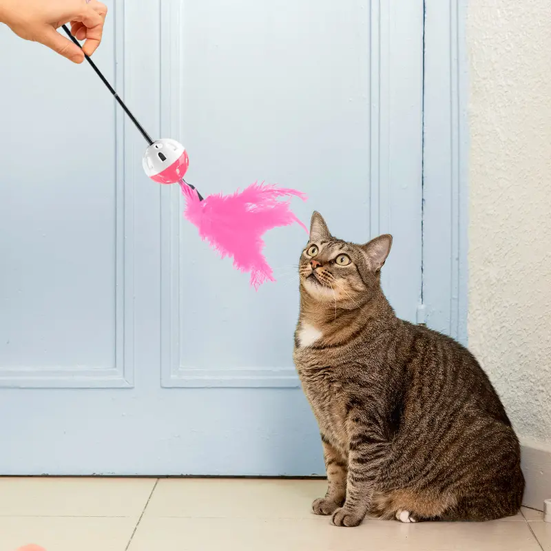 Varita Interactiva Color Rosa Para Gato, Amazin Pets 1