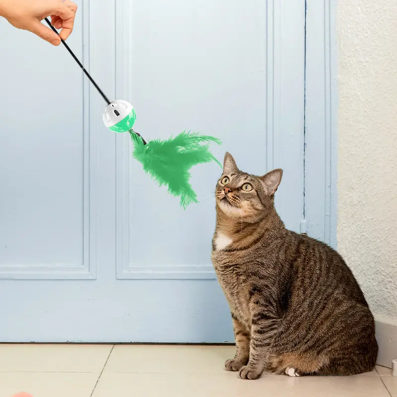 Varita Interactiva Color Verde Para Gato, Amazin Pets 1
